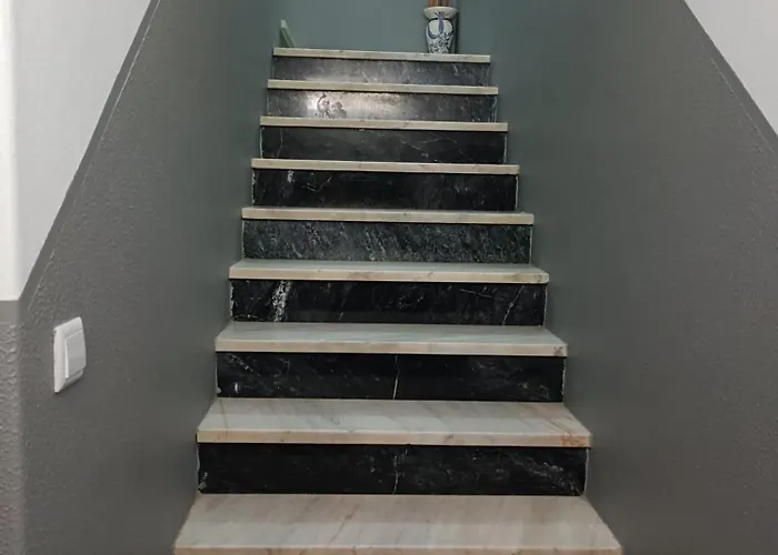 Ao - Augusta Peniche